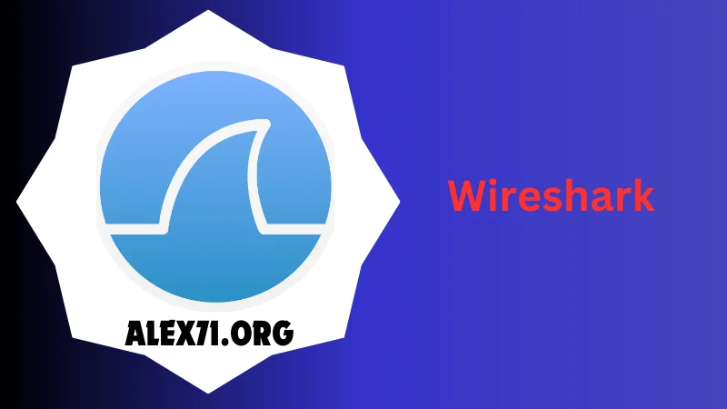 Wireshark Downloaded 2024