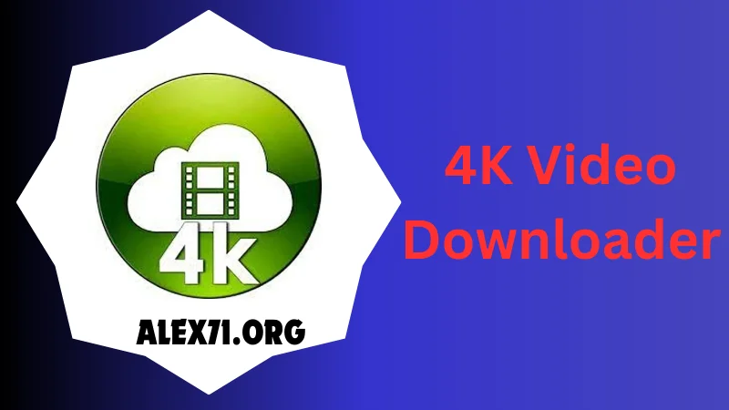 4K Video Downloader Downloaded 2024