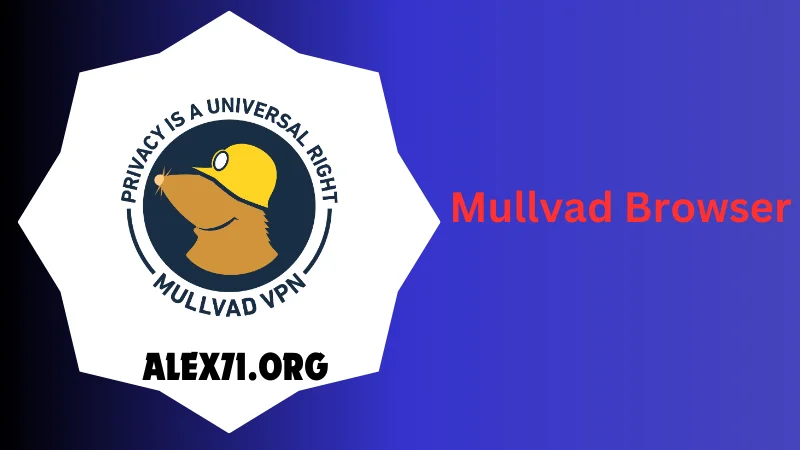 Mullvad Browser Downloaded 2024